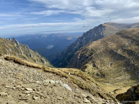 costila vazuta de pe omu