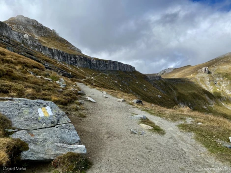 drumul  de vara