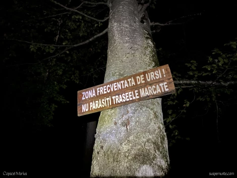 gura diham noaptea