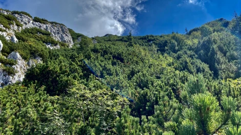 Jnepeni Padina Sindilariei