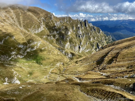 valea cerbului
