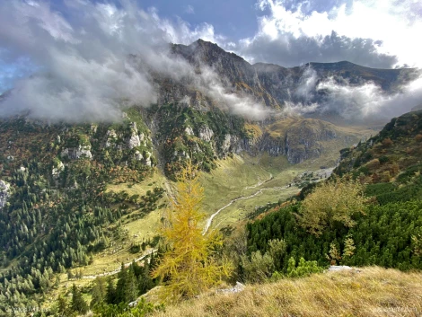 Vedere de la Crucea Malaiesti