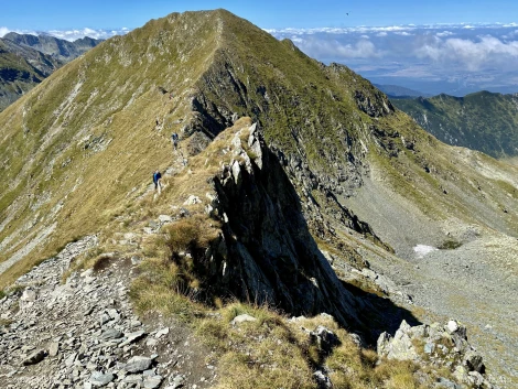 zapada la vanatoarea lui buteanu