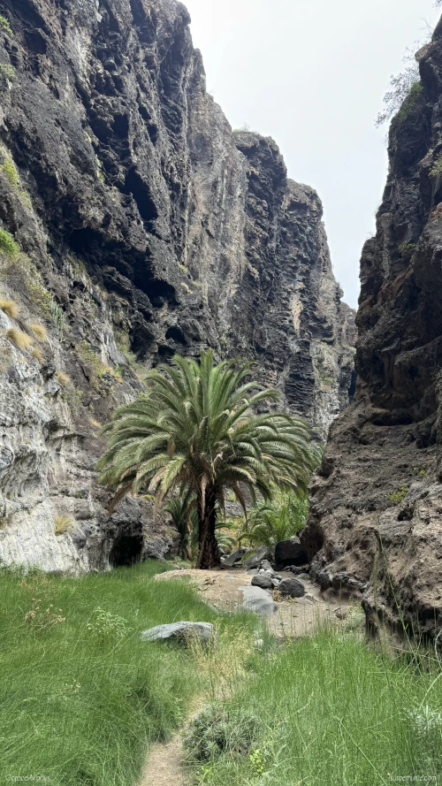 Masca Tenerife - canion