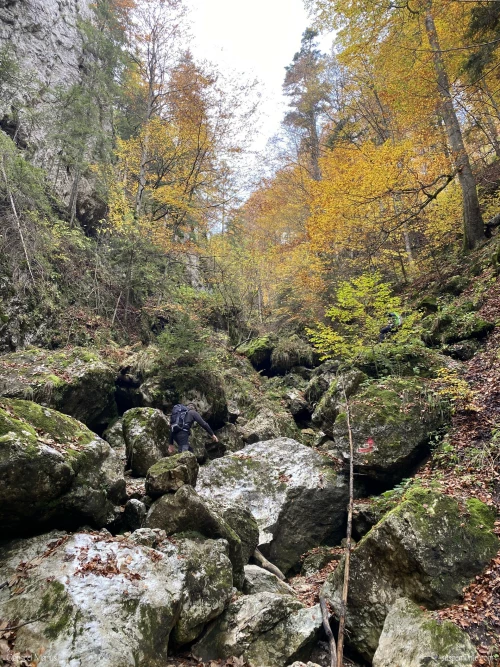 pietre cheile pisicii