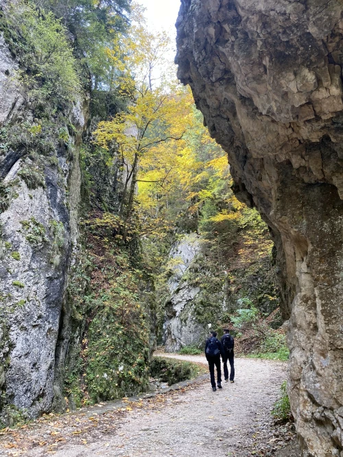 plimbare prapastiile zarnestilor - cheile pisicii