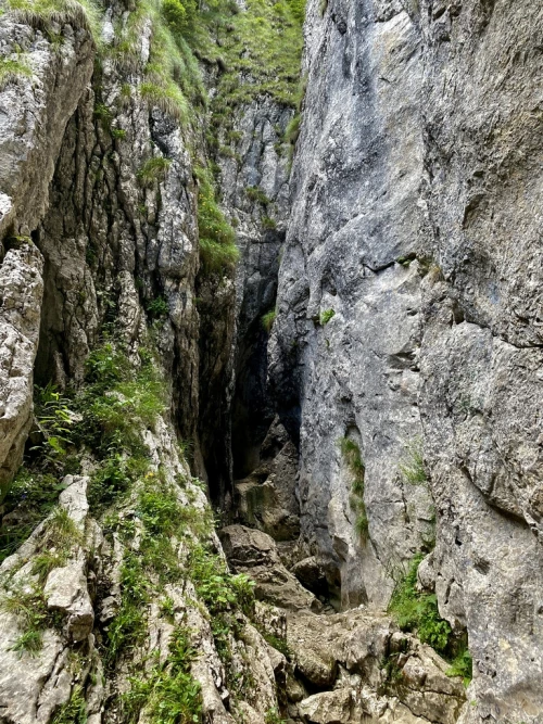 stanci canionul horabelor