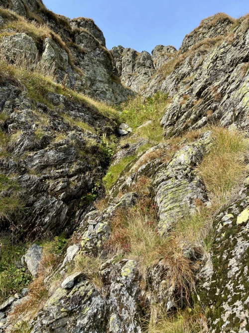 stanci transfagarasan