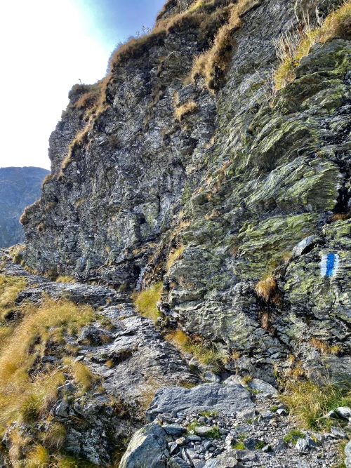 stanci transfagarasan