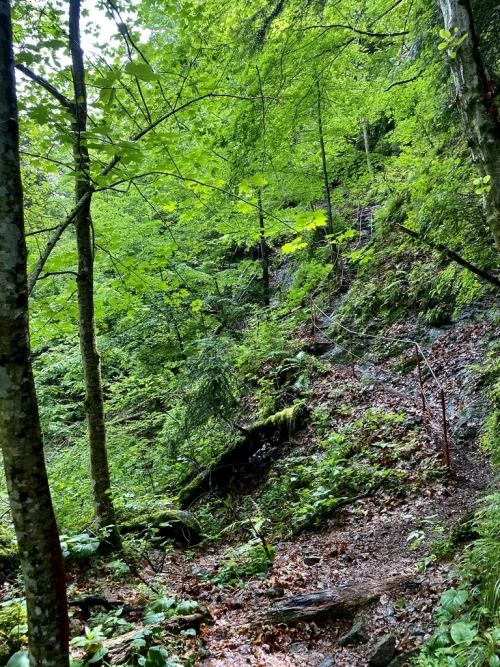 Valea lui stan dupa prima cascada